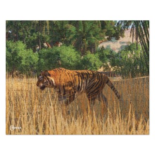 Planet Zoo Tiger Puzzle