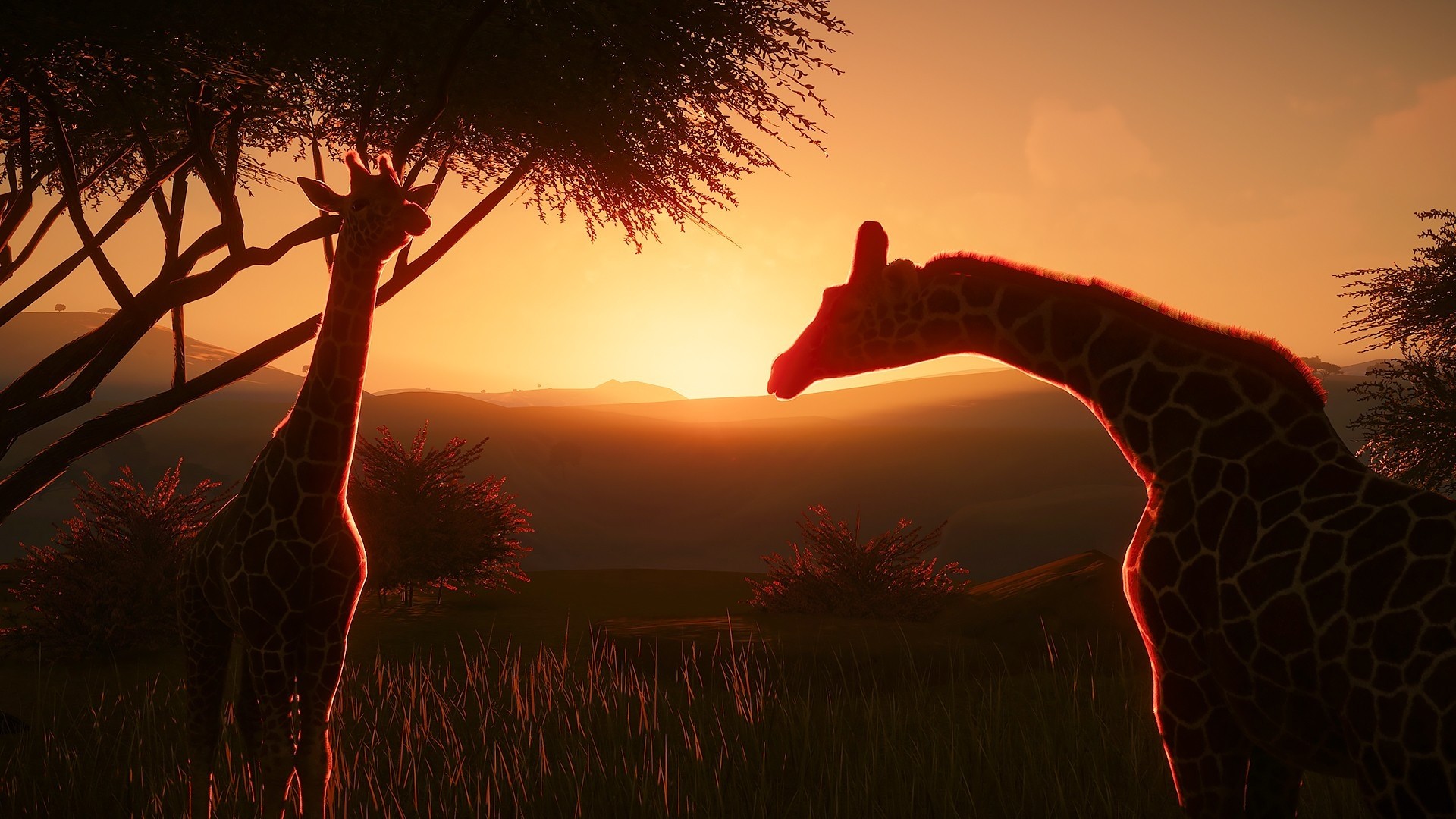 download planet zoo steam