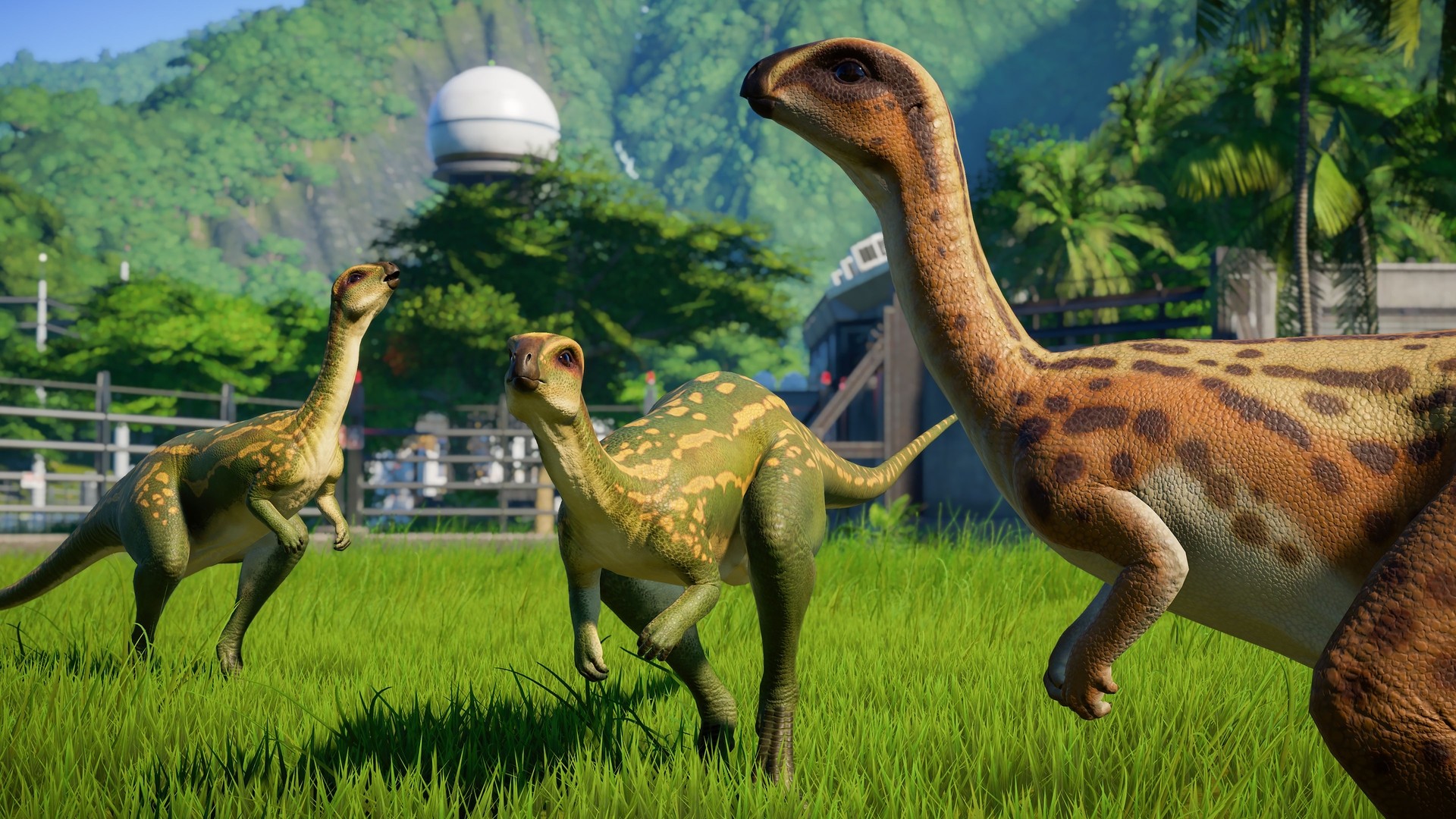 herbivore dinosaur pack