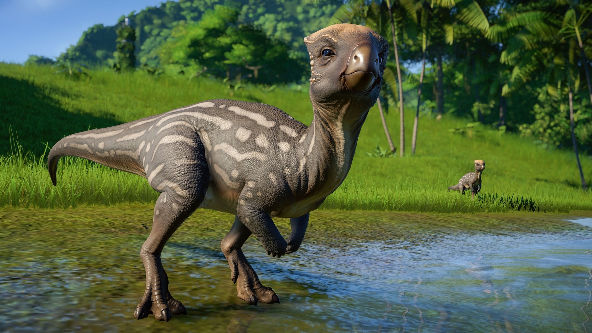 herbivore pack